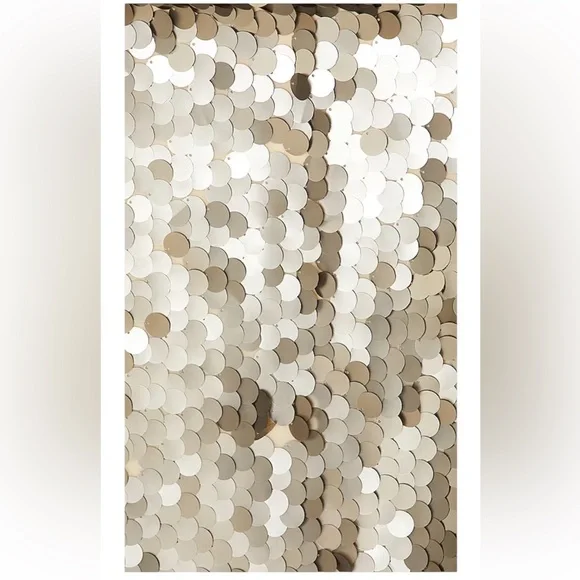 MORE TO COME Yarina Mini Dress in Matte Silver
Size medium - Picture 4 of 4